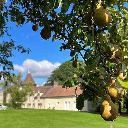 Le Petit Chateau Baye  外观 照片