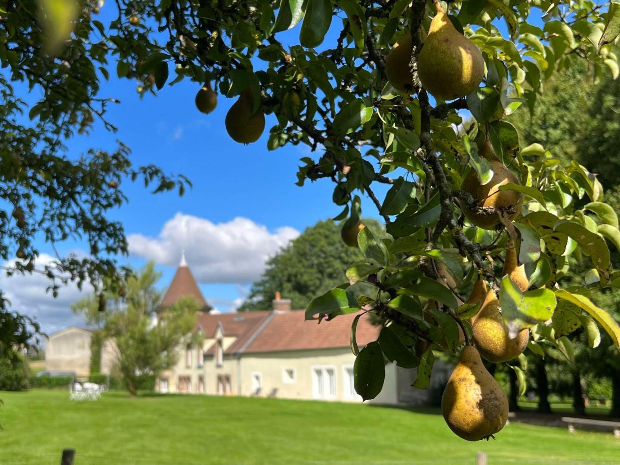 Le Petit Chateau Baye  外观 照片